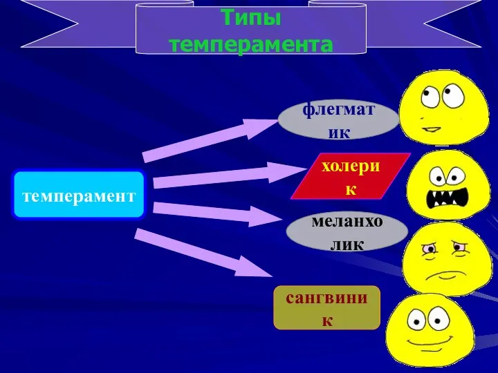 темперамент Типы темперамента сангвиник меланхолик холерик флегматик