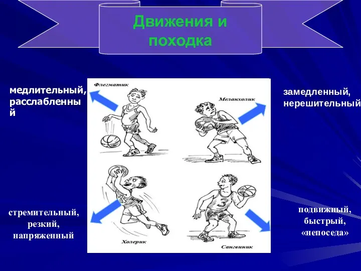 Движения и походка стремительный, резкий, напряженный замедленный, нерешительный подвижный, быстрый, «непоседа» медлительный, расслабленный