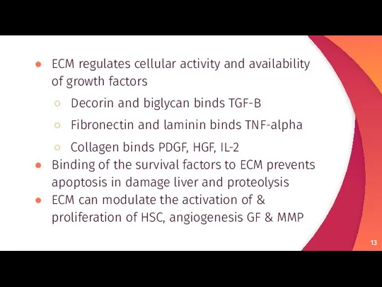 ECM regulates cellular activity and availability of growth factors Decorin and biglycan