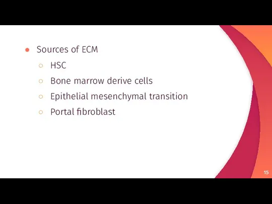 Sources of ECM HSC Bone marrow derive cells Epithelial mesenchymal transition Portal fibroblast