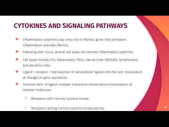 CYTOKINES AND SIGNALING PATHWAYS Inﬂammatory cytokines play a key role in ﬁbrosis,