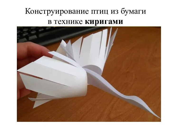 Конструирование птиц из бумаги в технике киригами