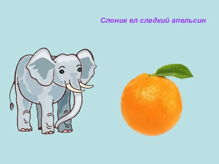 Слоник ел сладкий апельсин