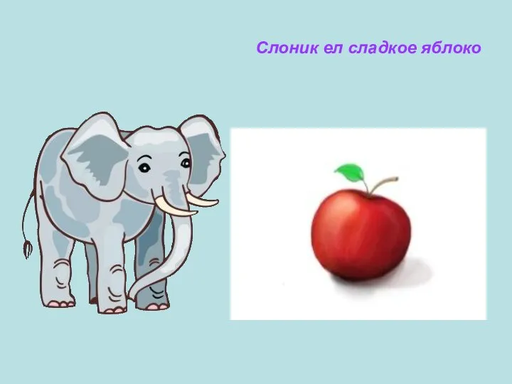 Слоник ел сладкое яблоко