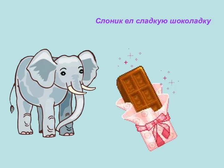 Слоник ел сладкую шоколадку