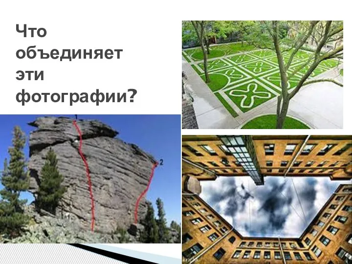 Что объединяет эти фотографии?