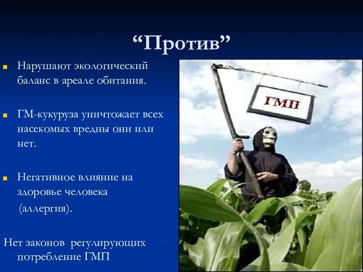 “Против” Нарушают экологический баланс в ареале обитания. ГМ-кукуруза уничтожает всех насекомых вредны