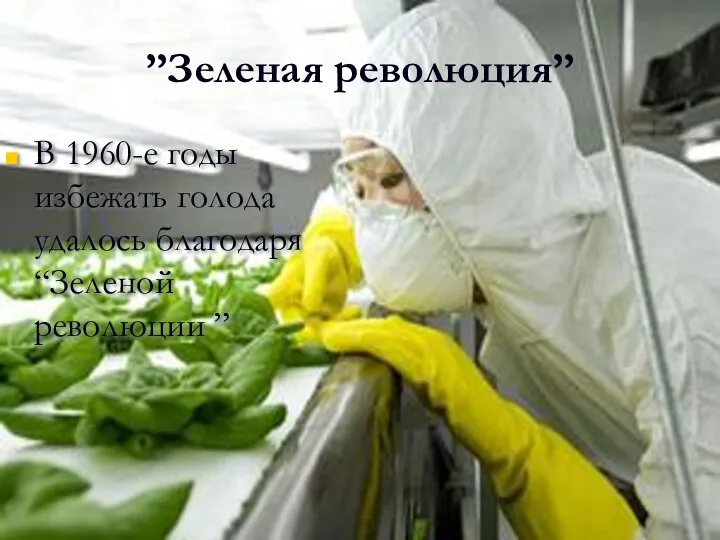 ”Зеленая революция” В 1960-е годы избежать голода удалось благодаря “Зеленой революции ”