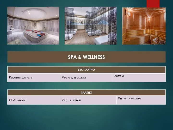 SPA & WELLNESS