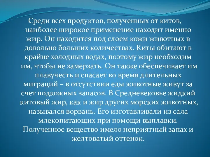 Среди всех продуктов, полученных от китов, наиболее широкое применение находит именно жир.