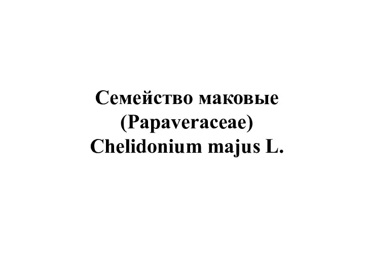 Семейство маковые (Papaveraceae) Chelidonium majus L.