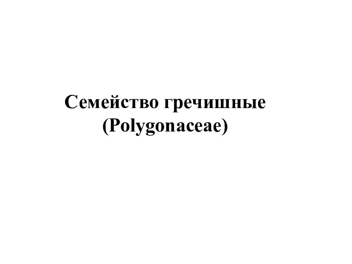 Семейство гречишные (Polygonaceae)