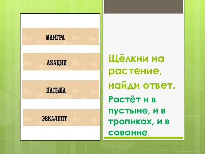 Щёлкни на растение, найди ответ. Растёт и в пустыне, и в тропиках, и в саванне.