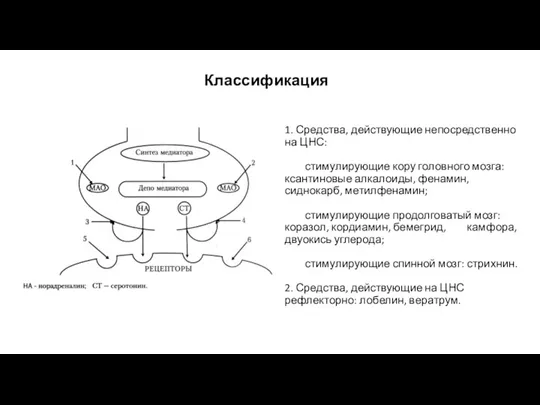 1. Средства, действующие непосредственно на ЦНС: стимулирующие кору головного мозга: ксантиновые алкалоиды,