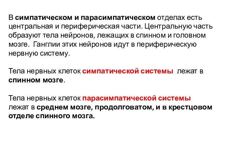 В симпатическом и парасимпатическом отделах есть центральная и периферическая части. Центральную часть