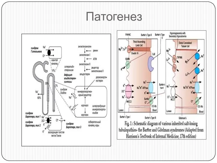 Патогенез