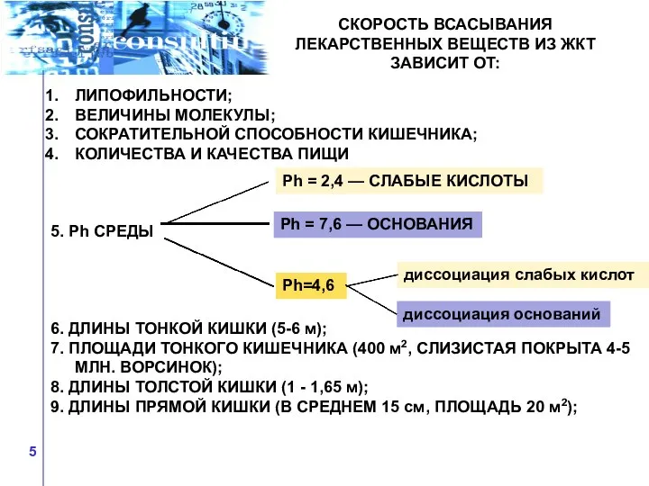 СКОРОСТЬ ВСАСЫВАНИЯ ЛЕКАРСТВЕННЫХ ВЕЩЕСТВ ИЗ ЖКТ ЗАВИСИТ ОТ: ЛИПОФИЛЬНОСТИ; ВЕЛИЧИНЫ МОЛЕКУЛЫ; СОКРАТИТЕЛЬНОЙ