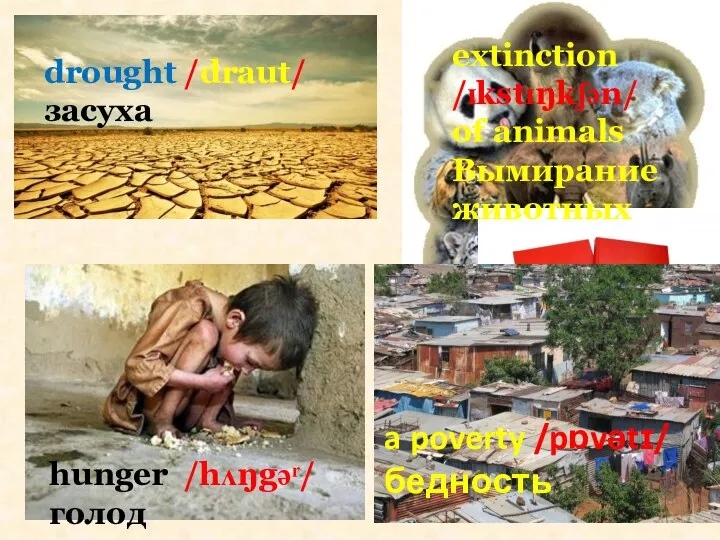 drought /draut/ засуха extinction /ɪkstɪŋkʃən/ of animals Вымирание животных hunger /hʌŋgəʳ/ голод a poverty /pɒvətɪ/ бедность