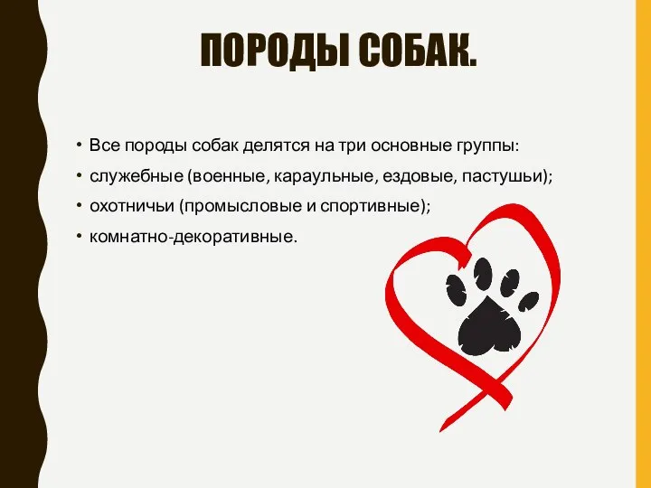 ПОРОДЫ СОБАК. Все породы собак делятся на три основные группы: служебные (военные,