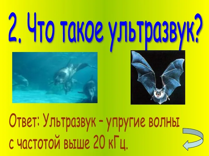 2. Что такое ультразвук? Ответ: Ультразвук – упругие волны с частотой выше 20 кГц.