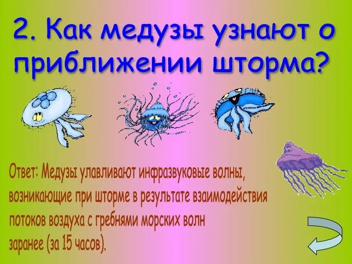 2. Как медузы узнают о приближении шторма? Ответ: Медузы улавливают инфразвуковые волны,