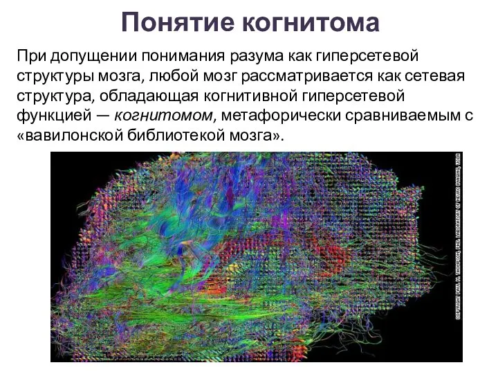 Понятие когнитома При допущении понимания разума как гиперсетевой структуры мозга, любой мозг