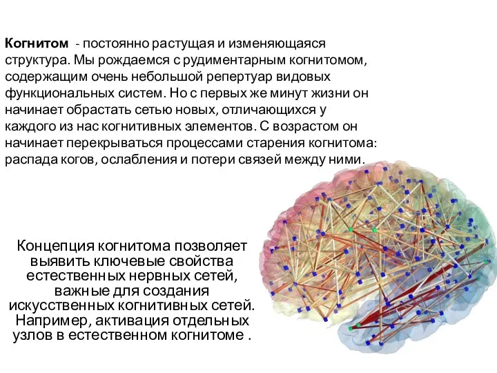 Когнитом - постоянно растущая и изменяющаяся структура. Мы рождаемся с рудиментарным когнитомом,