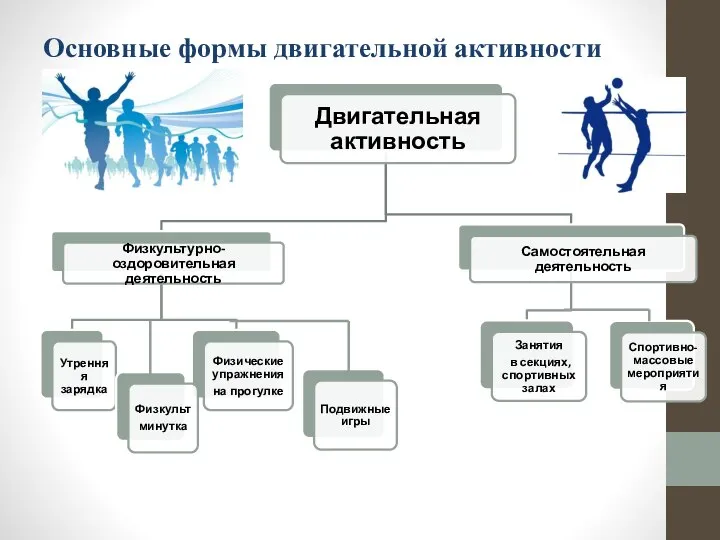 Основные формы двигательной активности