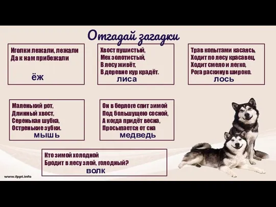 Иголки лежали, лежали Да к нам прибежали Хвост пушистый, Мех золотистый, В