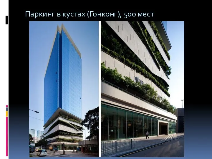 Паркинг в кустах (Гонконг), 500 мест