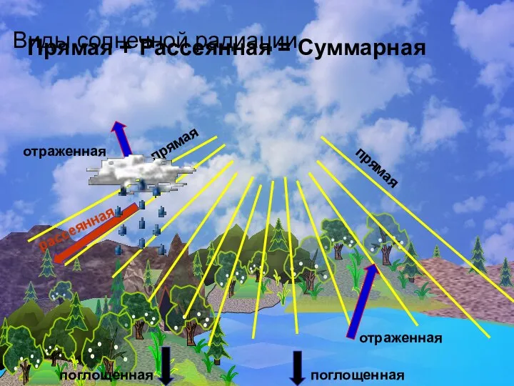 Виды солнечной радиации поглощенная отраженная рассеянная отраженная поглощенная прямая прямая Прямая + Рассеянная = Суммарная