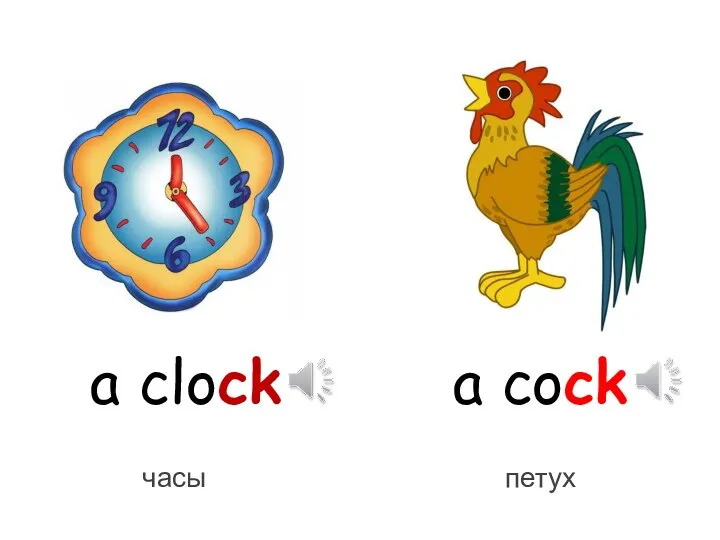 a clock a cock часы петух