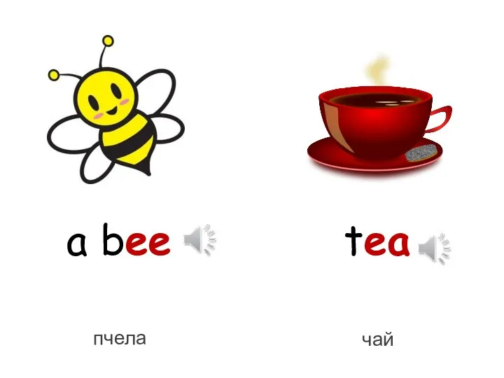 a bee tea пчела чай