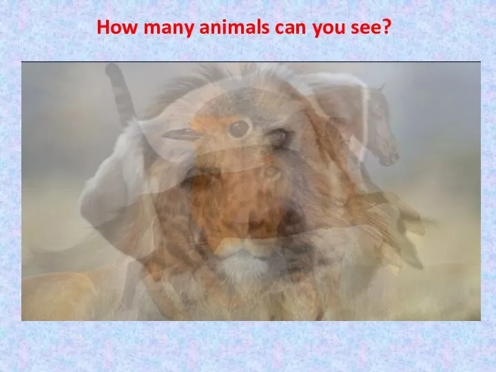 How many animals can you see?