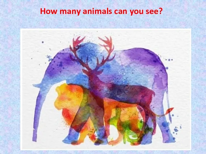 How many animals can you see?