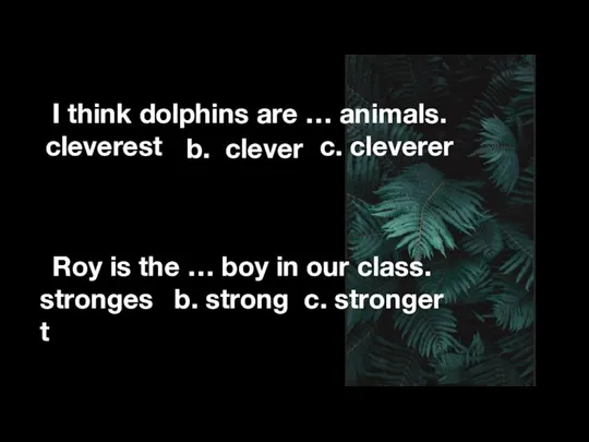 I think dolphins are … animals. cleverest c. cleverer Roy is the