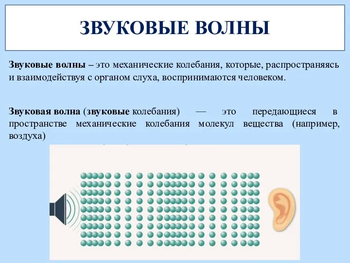 ЗВУКОВЫЕ ВОЛНЫ Звуковые волны – это механические колебания, которые, распространяясь и взаимодействуя