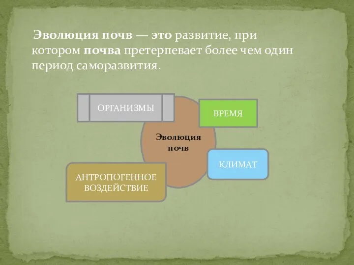 Эволюция почв — это развитие, при котором почва претерпевает более чем один период саморазвития.