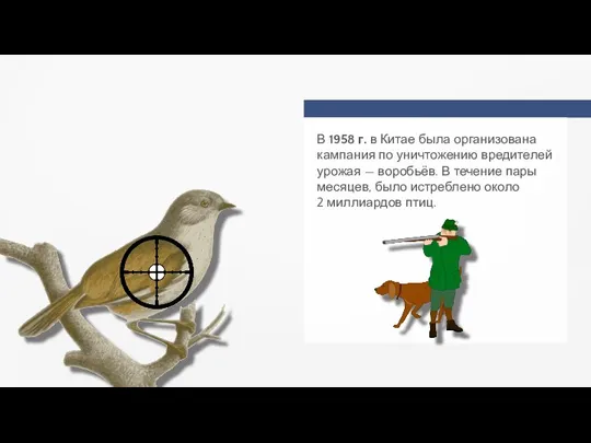 В 1958 г. в Китае была организована кампания по уничтожению вредителей урожая