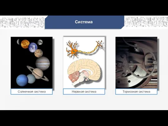 Система Солнечная система Тормозная система Нервная система