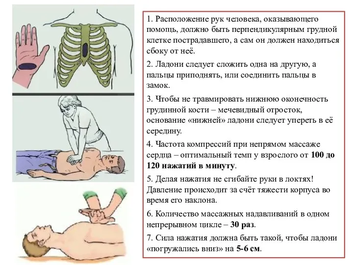 1. Расположение рук человека, оказывающего помощь, должно быть перпендикулярным грудной клетке пострадавшего,