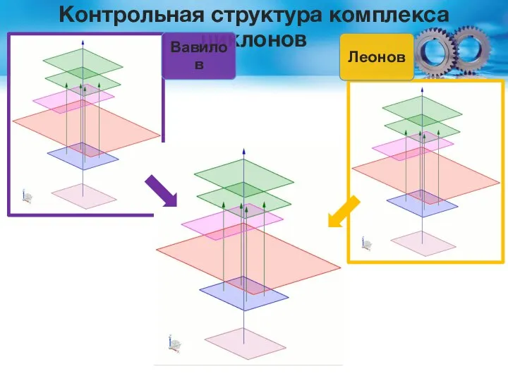 Контрольная структура комплекса циклонов