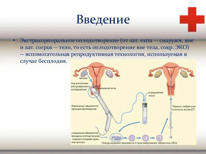 Введение Экстракорпоральное оплодотворение (от лат. extra -- снаружи, вне и лат. corpus