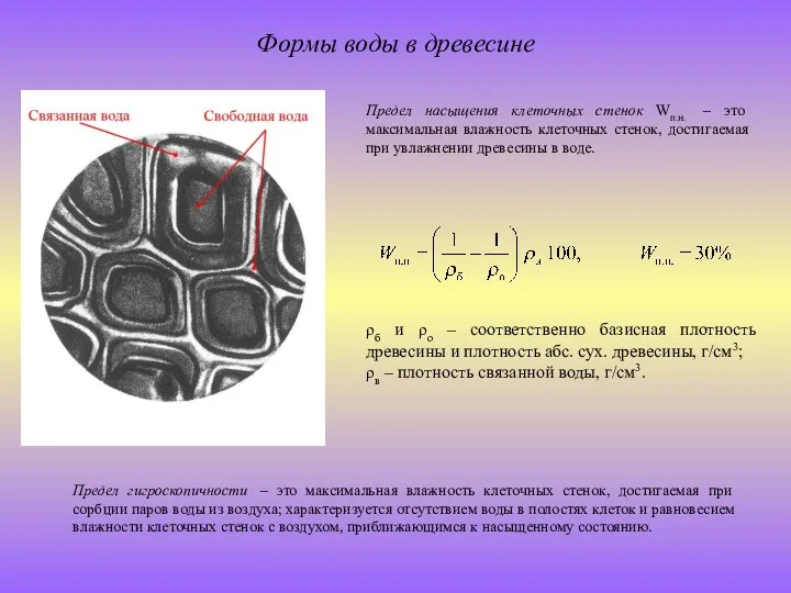 Формы воды в древесине ρб и ρо – соответственно базисная плотность древесины