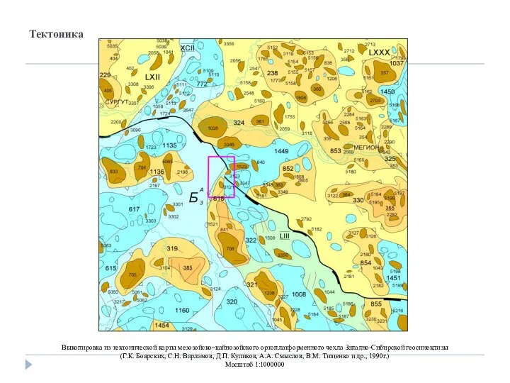 Тектоника Выкопировка из тектонической карты мезозойско–кайнозойского ортоплатформенного чехла Западно-Сибирской геосинеклизы (Г.К. Боярских,