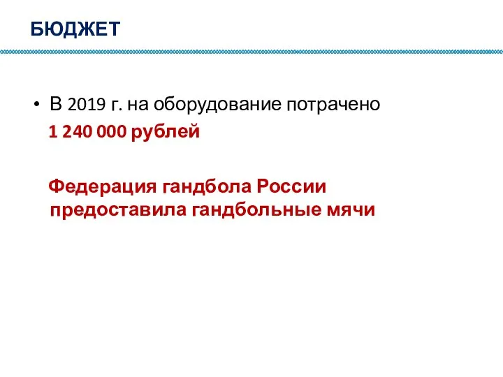 БЮДЖЕТ В 2019 г. на оборудование потрачено 1 240 000 рублей Федерация