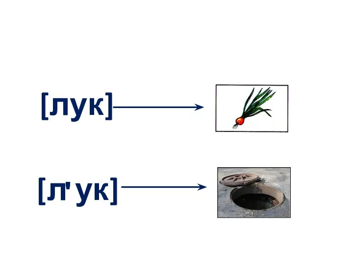 [л ук] [лук] '