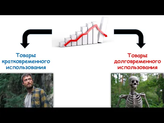 Товары кратковременного использования Товары долговременного использования