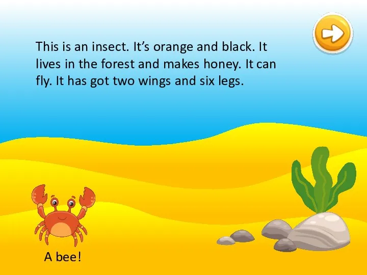 bee cat bird This is an insect. It’s orange and black. It