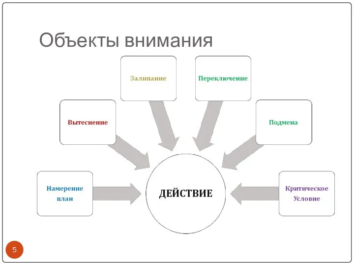 Объекты внимания